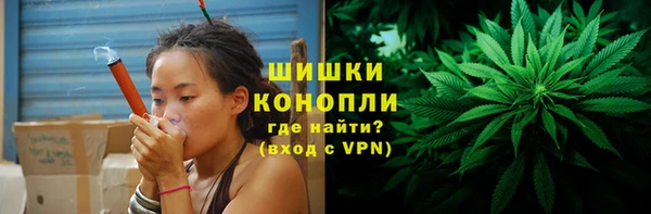 гидра Белокуриха