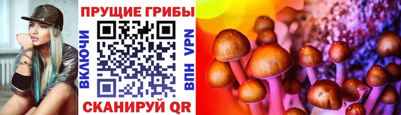 Галлюциногенные грибы мицелий  магазин продажи наркотиков  Томари 